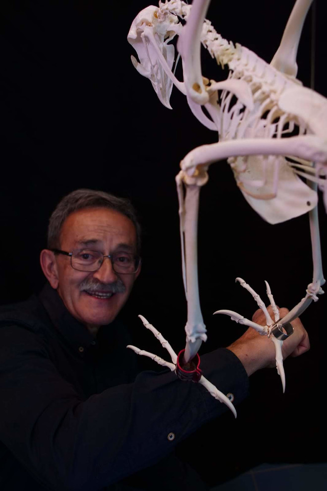 Josep Antoni Alcover, promotor de la iniciativa, junto con el esqueleto ya montado de "Harmonia".