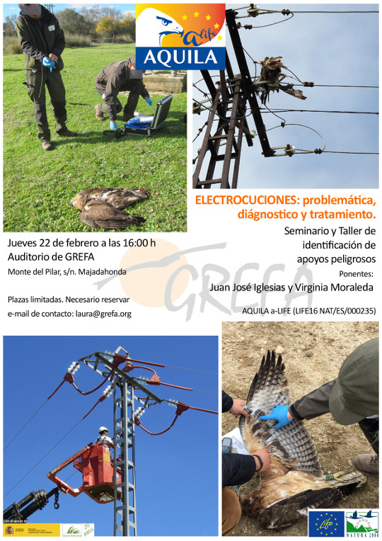 seminario problematica tendidos