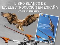 banner libro blanco