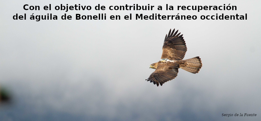 portada boletin extra