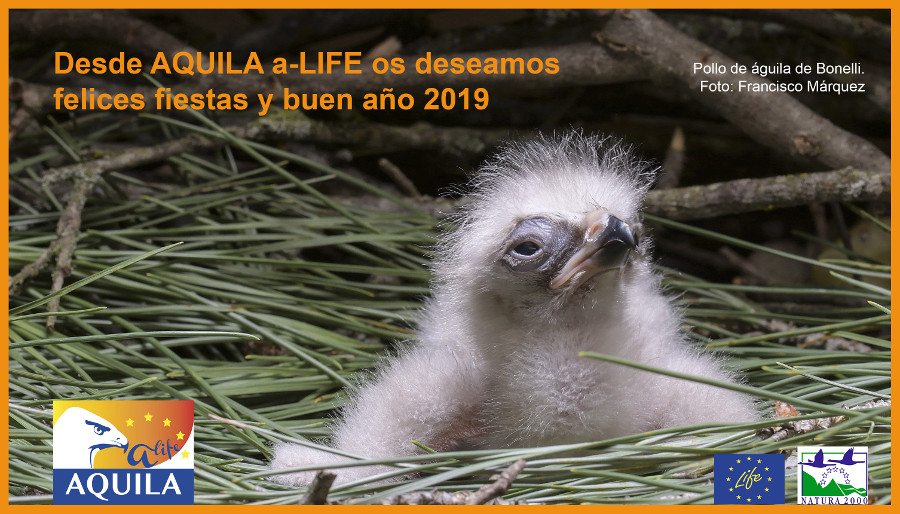 felicitacion AQUILA 2018