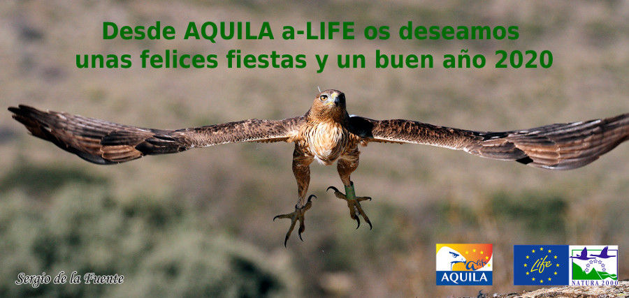 FELICITACION AQUILA 2020 CASTELLANO