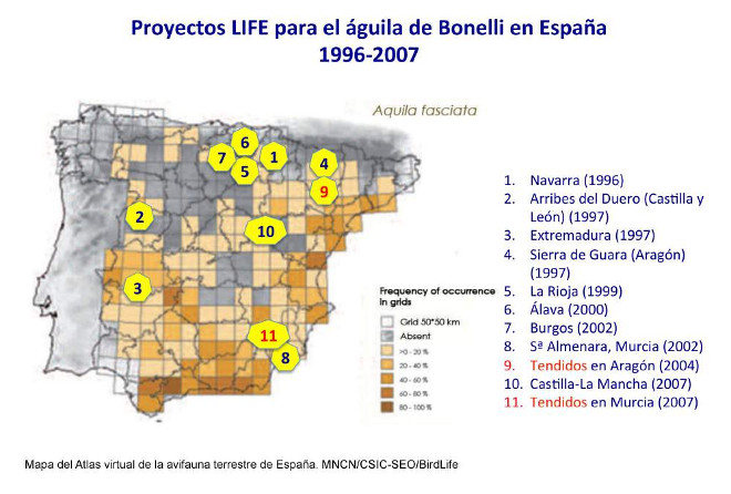 Progetti LIFE per l’Aquila di Bonelli condotti in Spagna negli anni 1996-2007. Mappa dall’atlante virtuale dell’avifauna terrestre di Spagna. MNCN/CSIC-SEOBirdLife