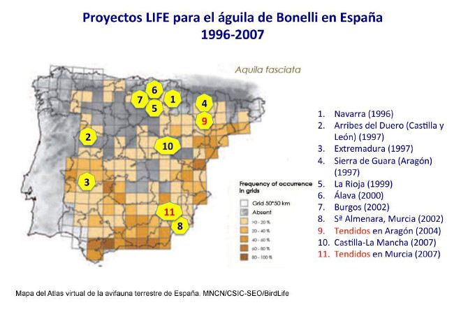 Carte de l'atlas virtuel de l'avifaune terrestre d'Espagne. MNCN / CSIC SEOBirdLife