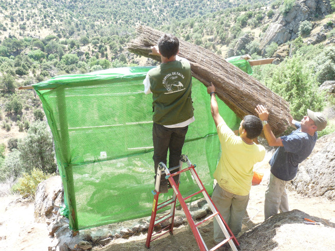 Acciones preparatorias