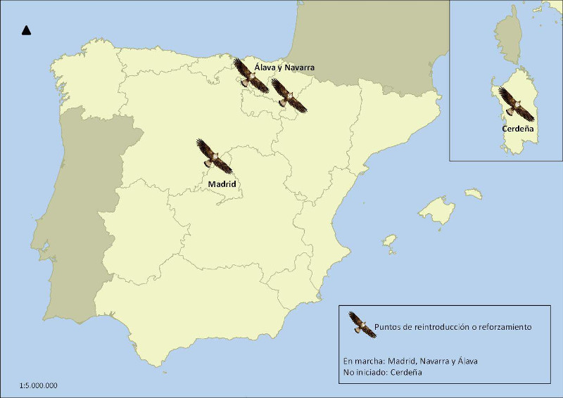 Puntos de reintroducción y reforzamiento