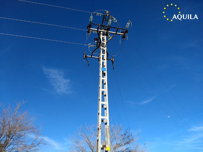 Poste de la provincia de Toledo donde murió electrocutada el águila de Bonelli "Azul".