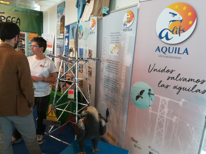 Una monitora de AQUILA a-LIFE explica a un visitante detalles sobre el proyecto en el stand de GREFA en Conama 2018.