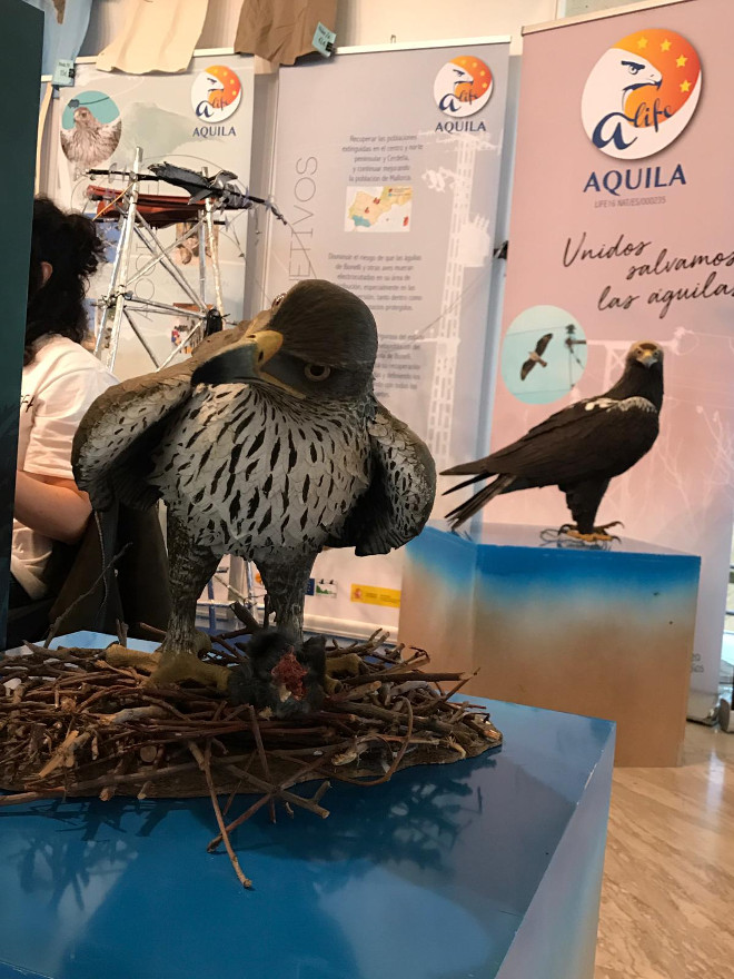 Réplica de águila de Bonelli en el espacio dedicado a AQUILA a-LIFE en el stand de GREFA en Conama 2018