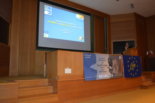 La bióloga Carlota Viada, del proyecto AQUILA a-LIFE, expone en el taller formativo celebrado en Atenas el trabajo realizado en España con el águila de Bonelli. Foto: Popi Baxevani / NHMC.