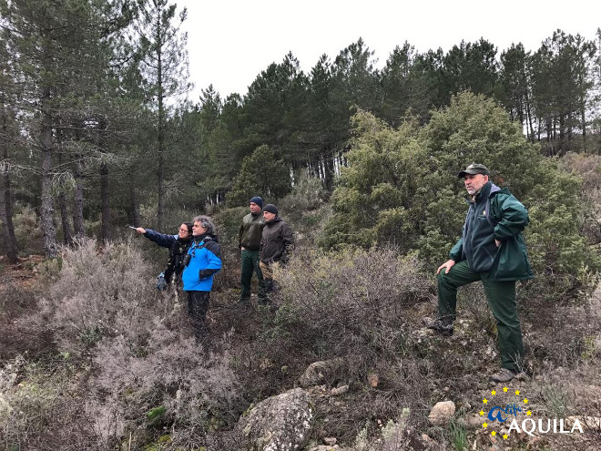 Miembros de GREFA, ISPRA y FoResTas, durante la visita a la isla de Cerdeña realizada en el contexto del proyecto AQUILA a-LIFE.