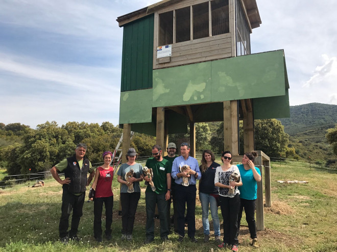 Miembros de AQUILA a-LIFE con las águilas de Bonelli reintroducidas en Navarra oriental, junto a la instalación de hacking.