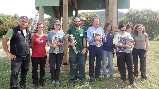 Momento previo a la liberación de los cuatro pollo de águila de Bonelli.