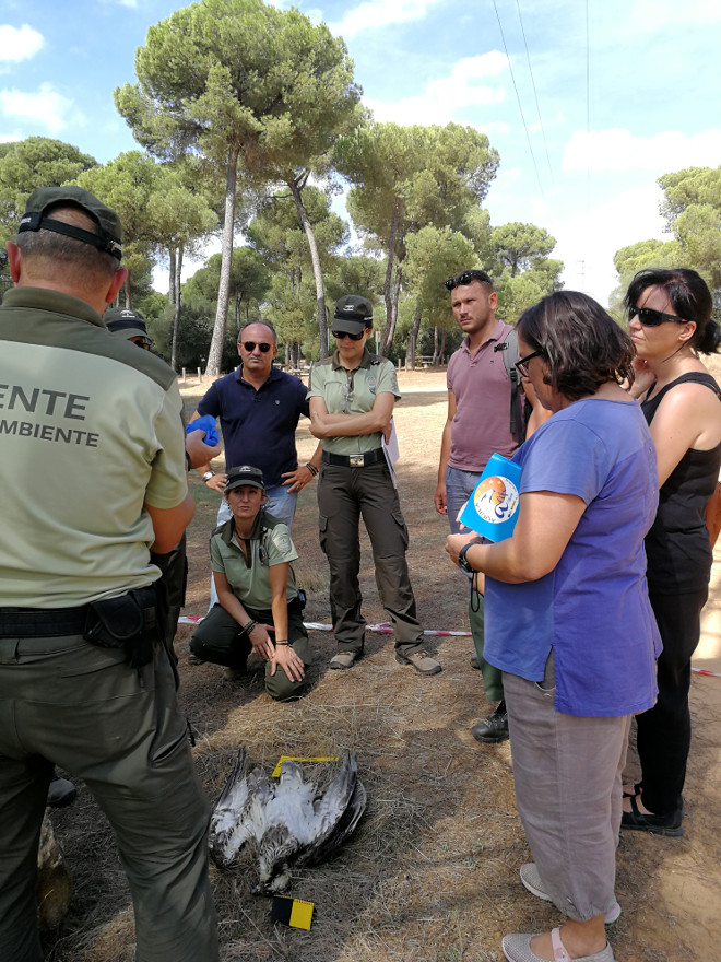 Los asistentes atienden a una de las actividades prácticas realizadas durante el curso, dirigida por el Coordinador Provincial de los Agentes de Medio Ambiente de Cádiz.