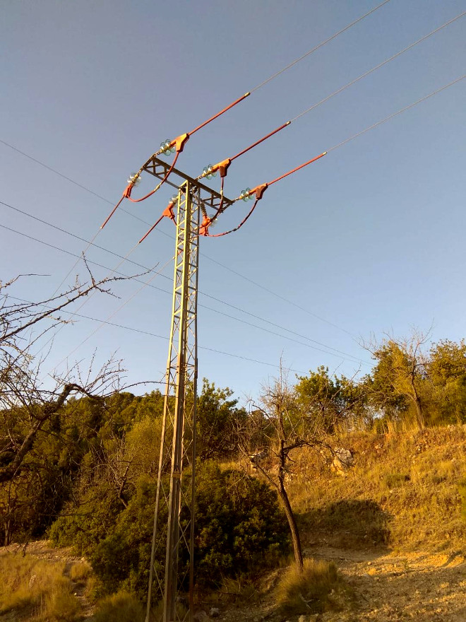 Una de las torres peligrosas corregidas en Mallorca dentro de un territorio de cría de águila de Bonelli.