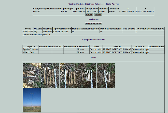 Ficha de un apoyo de tendido eléctrico en Noves (Toledo) donde se encontraron los restos de un milano real y un águila culebrera.
