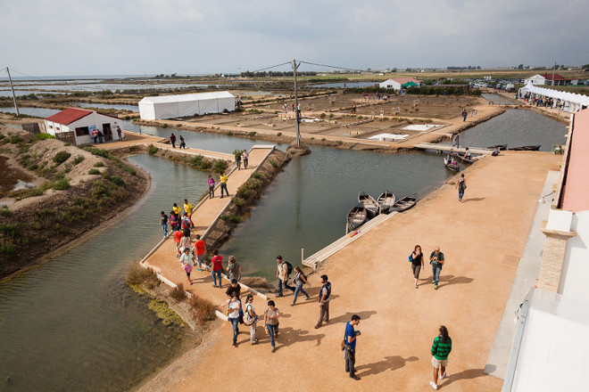 Vista aérea del espacio destinado a albergar el Delta Birding Festival, en la parte sur del Delta del Ebro (foto: DBF).