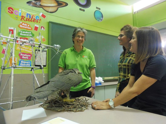 Una monitora de GREFA/AQUILA a-LIFE prepara con dos profesoras las actividades educativas en el CEIP "Príncipe de Asturias".