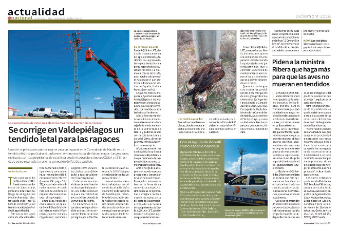 Artículo publicado en Quercus 394 (diciembre de 2018) sobre la corrección del tendido de Valdepiélagos (Madrid).