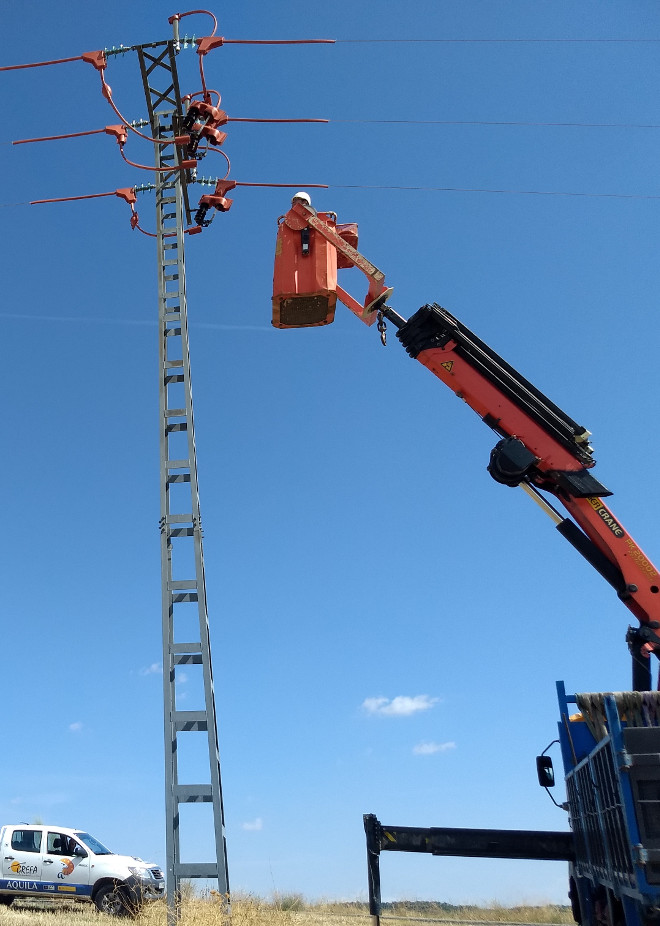 Corrección de un tendido eléctrico peligroso para las aves en Valdepiélagos (Madrid).