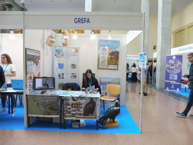 Stand de GREFA en la convocatoria de 2019 de VolunFair en Madrid, desde donde los asistentes recibieron información de AQUILA a-LIFE.