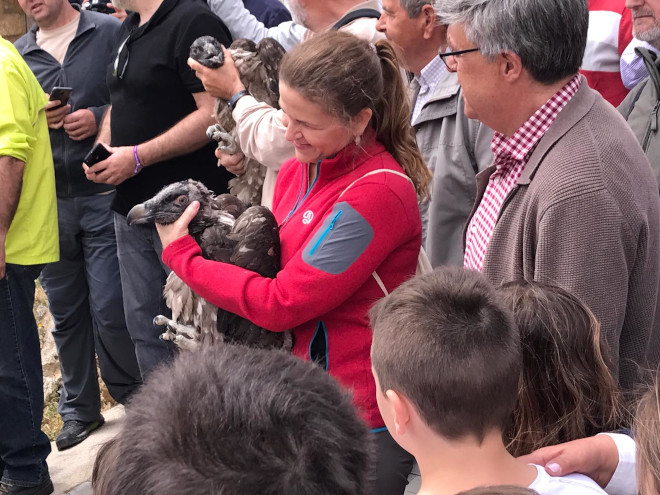 Elena Cebrían, consejera de Agricultura y Medio Ambiente de la Generalitat Valenciana, sostiene a uno de los pollos de quebrantahuesos reintroducidos en 2019 en el Maestrazgo castellonés.