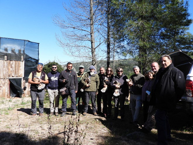 El equipo de AQUILA a-LIFE en Cerdeña y sus colaboradores, con las cinco águilas de Bonelli que llegaron a la isla italiana a finales del pasado abril.