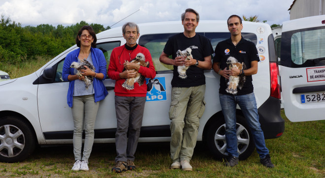 Participantes en el traslado de águilas de Bonelli, en el centro de cría de La Vendée (Francia), con los cuatro pollos de la especie. De izquierda a derecha, Elena Munuera (voluntaria de GREFA), Christian Pacteau (UFCS/LPO), Miguel Marco (voluntario de GREFA) y David Gutiérrez (Equipo de Rescate de GREFA). 