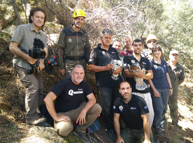 Participantes en el marcaje de las dos águilas de Bonelli nacidas en la Sierra Oeste de Madrid. Foto: Sergio de la Fuente / GREFA.