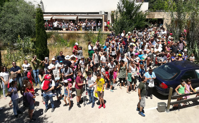 Unas cuatrocientas personas acudieron a la Jornada de Puertas Abiertas de GREFA y al Día del Águila de AQUILA a-LIFE el pasado 1 de junio.