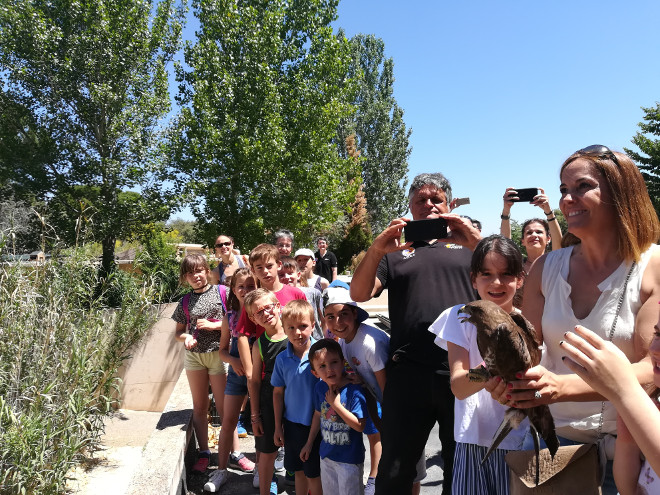 La directora del colegio "Príncipe de Asturias" de Quijorna (Madrid), junto a un grupo de alumnos, se dispone a liberar un ratonero durante la Jornada de Puertas Abiertas de GREFA y al Día del Águila de AQUILA a-LIFE.