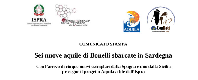2019 comunicato Aquila di Bonelli