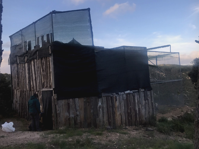 Jaulón de aclimatación en la zona de reintroducción del águila de Bonelli en Cerdeña, que alojará temporalmente a los pollos recién llegados.