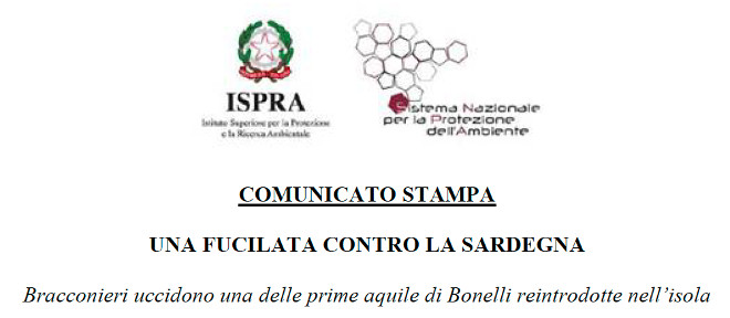 Una fucilata contro La Sardegna: Bracconieri uccidono una delle prime aquile di Bonelli reintrodotte nell’isola