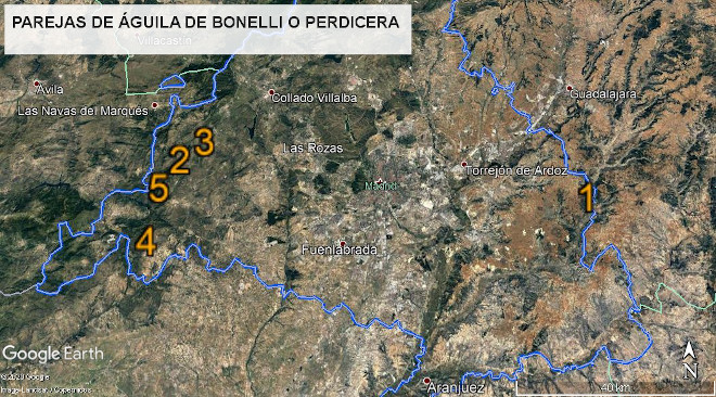 Mapa parejas de águila de Bonelli en Madrid