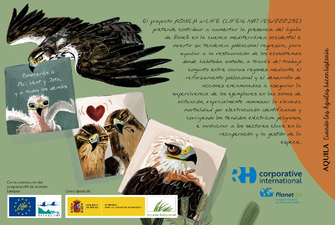 Contraportada del cuento "AQUILA: cuando las águilas hacen historia".