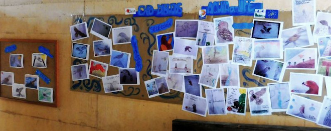 Exposición de los dibujos presentados al premio promovido por AQUILA a-LIFE.