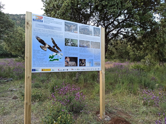 Cartel de AQUILA a-LIFE recién colocado en una de las zonas de actuación del proyecto en la Comunidad de Madrid pocos días antes de la celebración del Día del Águila.