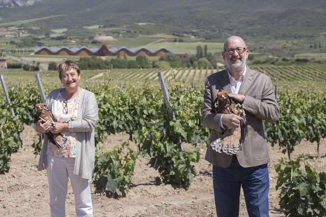 La Diputación Foral reintroduce cinco pollos y una adulta de águila Bonelli en Rioja Alavesa