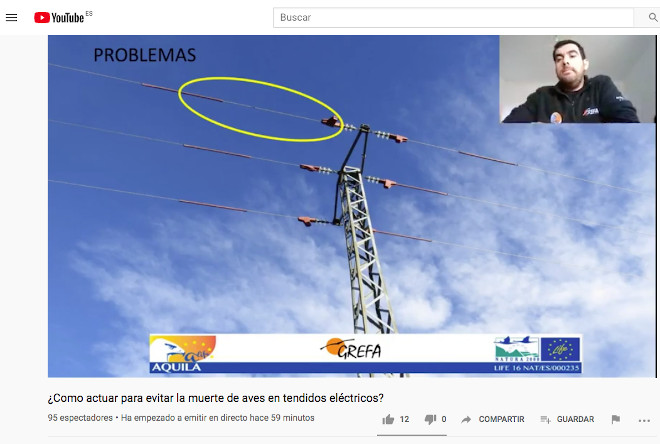 Juan José Iglesias explica por qué un tendido eléctrico corregido puede seguir siendo peligroso para las aves.