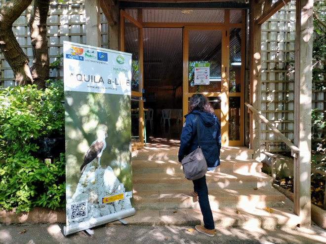 Una visitante pasa delante de un cartel de AQUILA a-LIFE durante el Día del Águila en Mallorca.