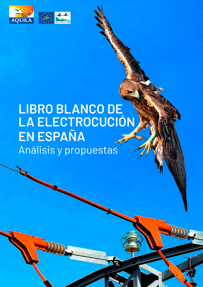 Portada del "Libro Blanco de la electrocución en España".