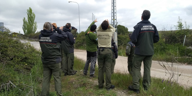 Agentes Forestales de la Comunidad de Madrid participantes en el curso estudian las características de un tendido eléctrico.