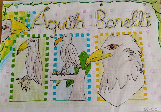 Los alumnos del colegio San Pío X, de Majadahonda (Madrid), participan con sus dibujos en el proyecto AQUILA a-LIFE