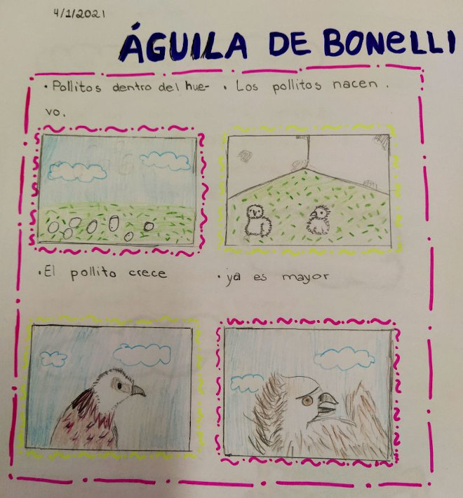 Los alumnos del colegio San Pío X, de Majadahonda (Madrid), participan con sus dibujos en el proyecto AQUILA a-LIFE