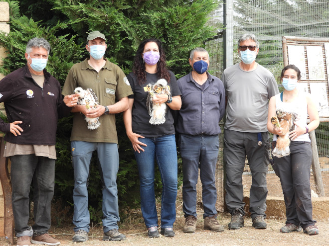 Los tres pollos de águila de Bonelli procedentes de Sicilia, tras ser retirados de sus nidos, con parte del equipo encargado de este operativo.