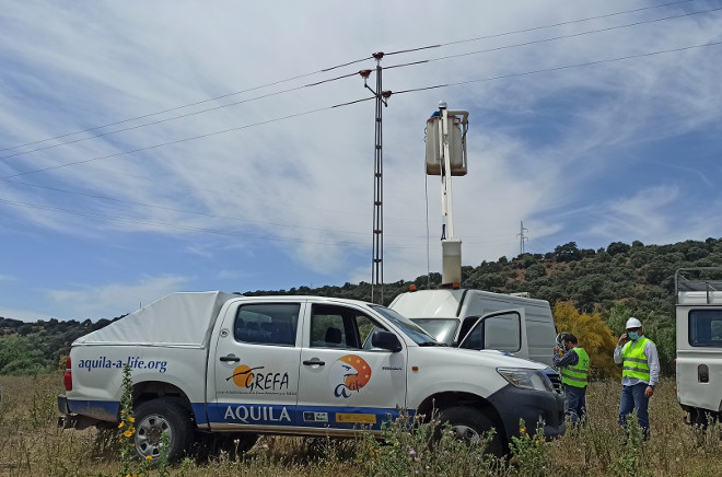 Un operario se sitúa con una grua junto a uno de los apoyos del tendido intervenido durante su corrección.