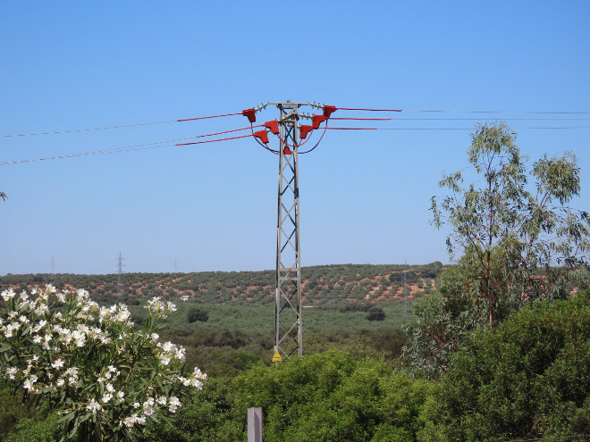 Uno de los apoyos, ya aislado, del tendido eléctrico corregido en en la finca "Las Yeguas", entre Linares y Bailén (Jaén).