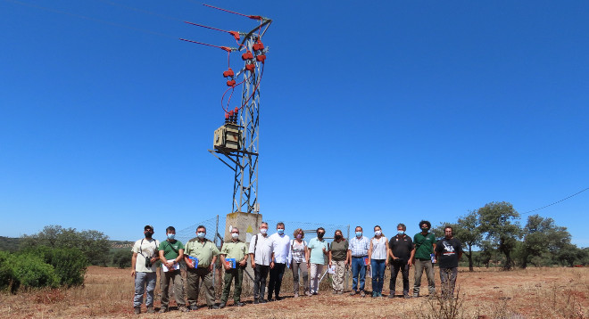 Participantes en la visita efectuada el pasado 6 de julio al tendido eléctrico corregido en la provincia de Jaén.