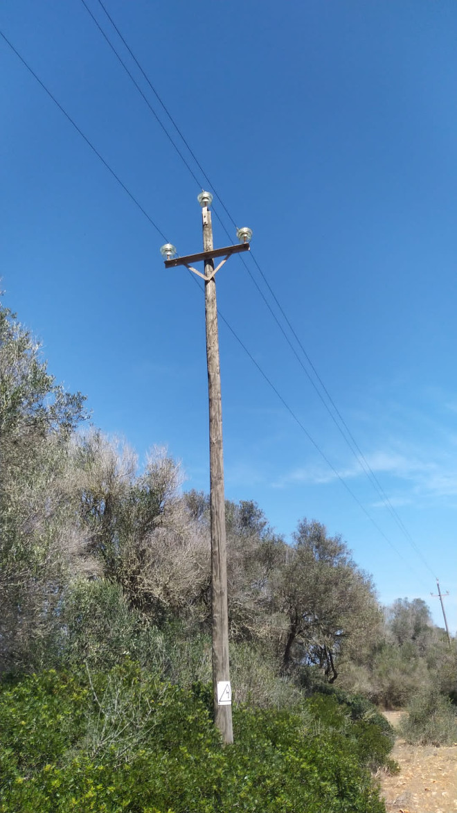 Tendido eléctrico con poste de madera causante de la electrocución de "Joia". Foto: T. Morro.